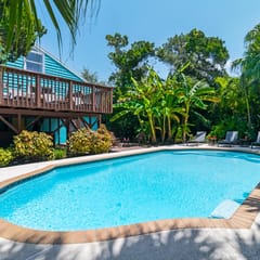Palm Paradise - 156