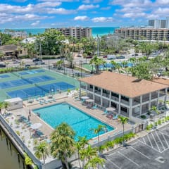 Johnnys Island Palm - 508