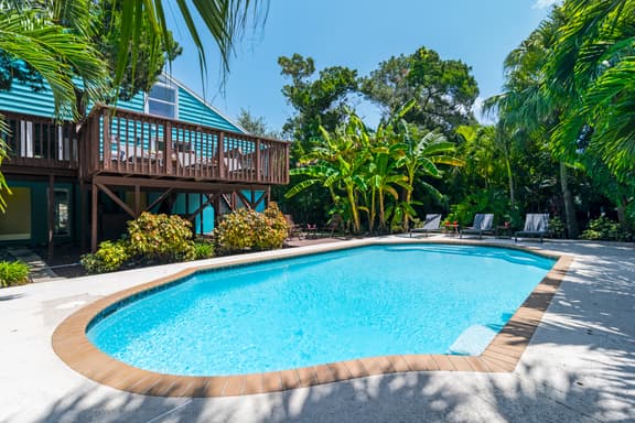 Palm Paradise - 156 - Image 1